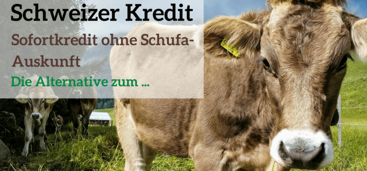 Schweizer Kredit